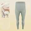 Pantalon vert haricot