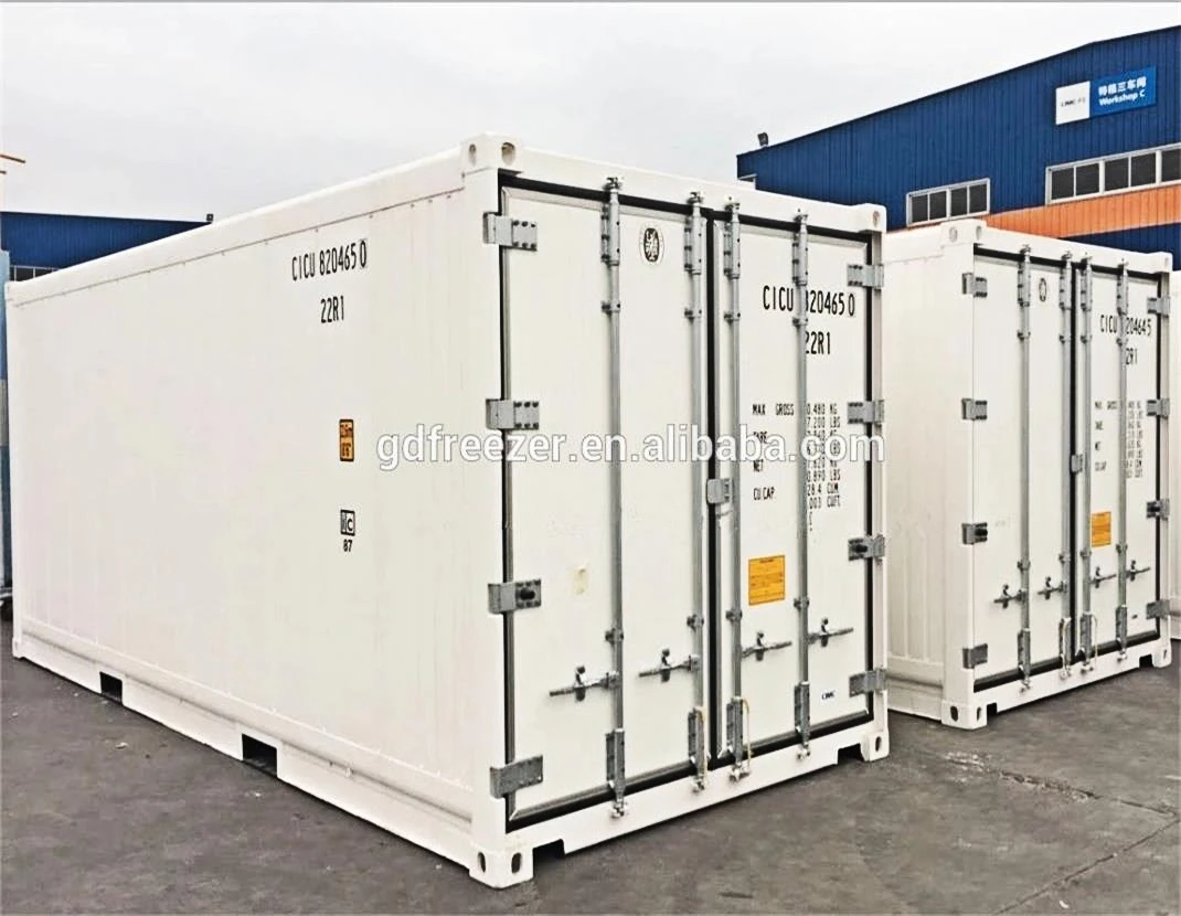 Carrier Container Reefer Shipping Refrigerated Container With Factory