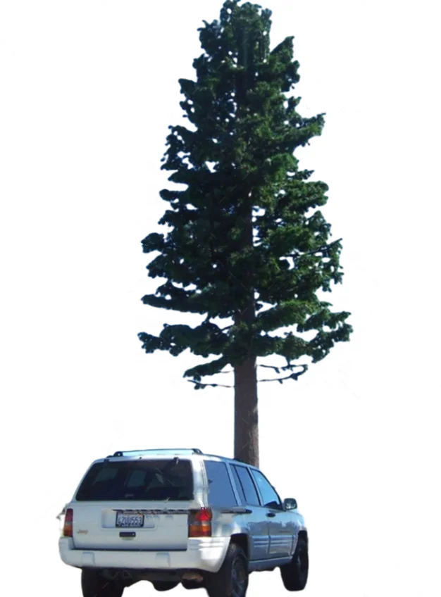 product-1-1 product-1-1