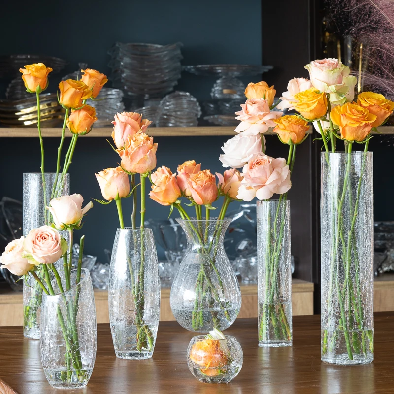 Cheap Transparent Modern Glass Vase Shapes and Names Glass Vase Bowl