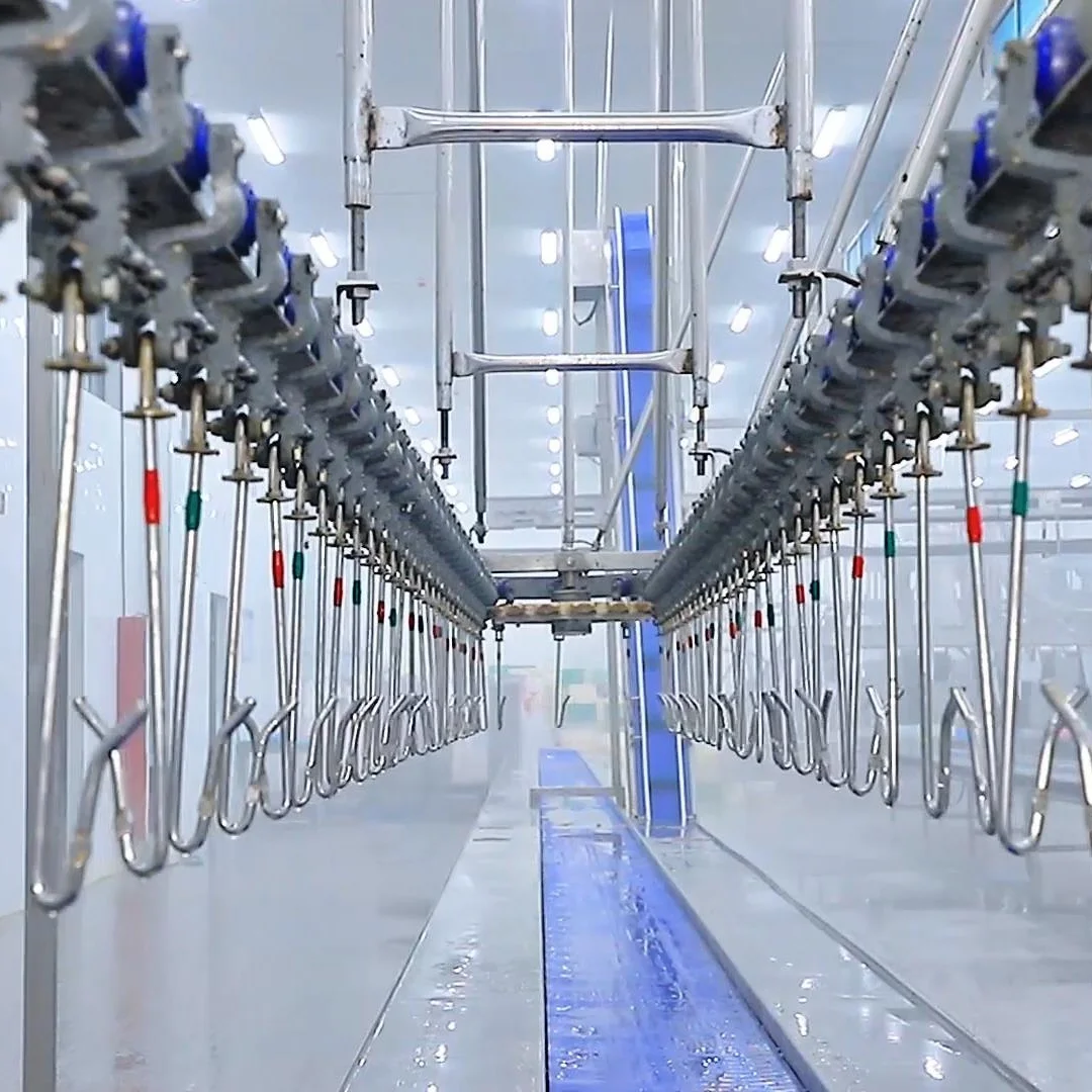 2000BPH Poultry Slaughter Line Chickens Process