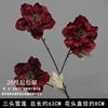 Branche de Lotus des Neiges Rouge à Trois Têtes