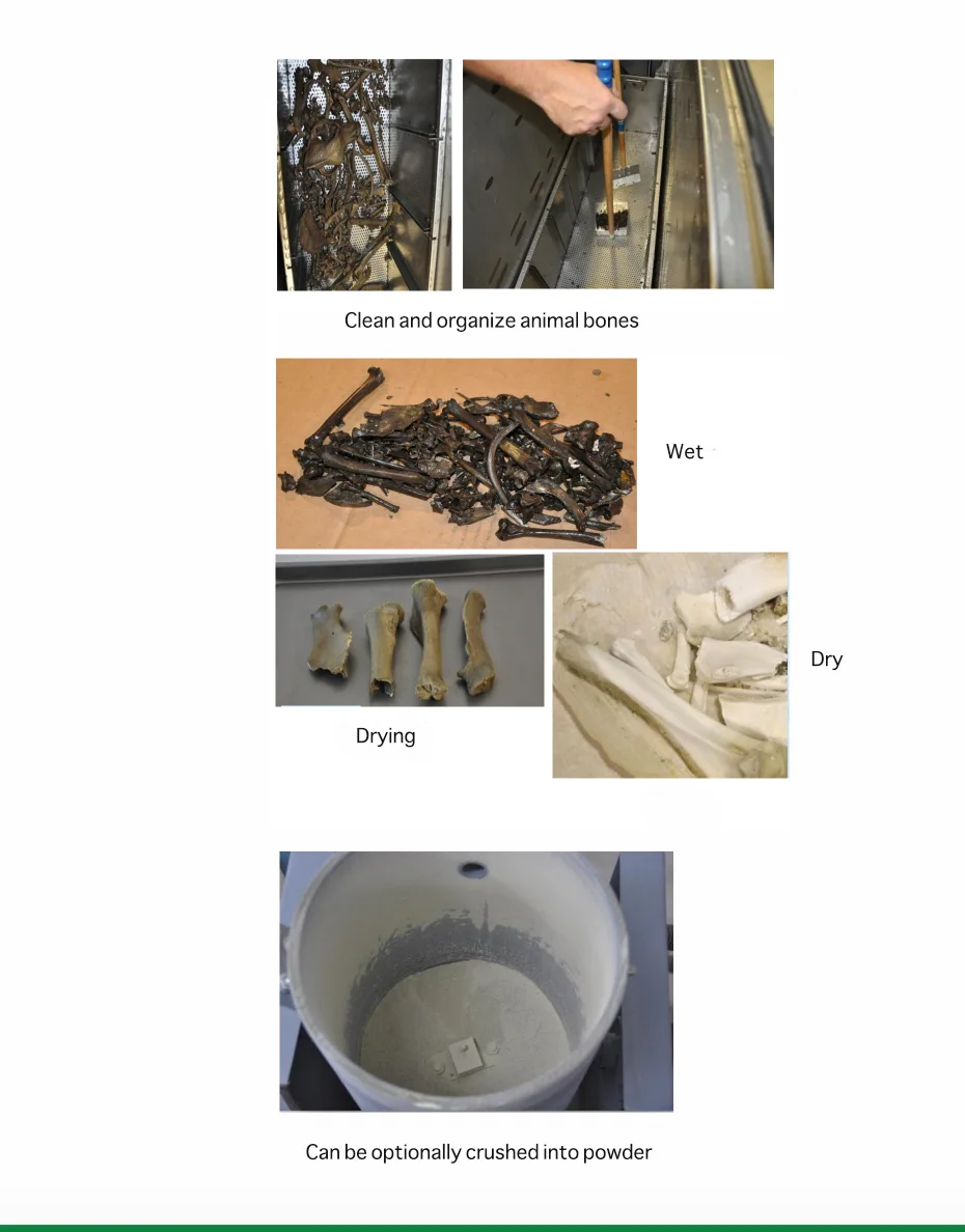 Snsek-SA1000v Aquamation Machine for Animals Bio-Hydrolysis Machine for Pets Water Cremation Machines