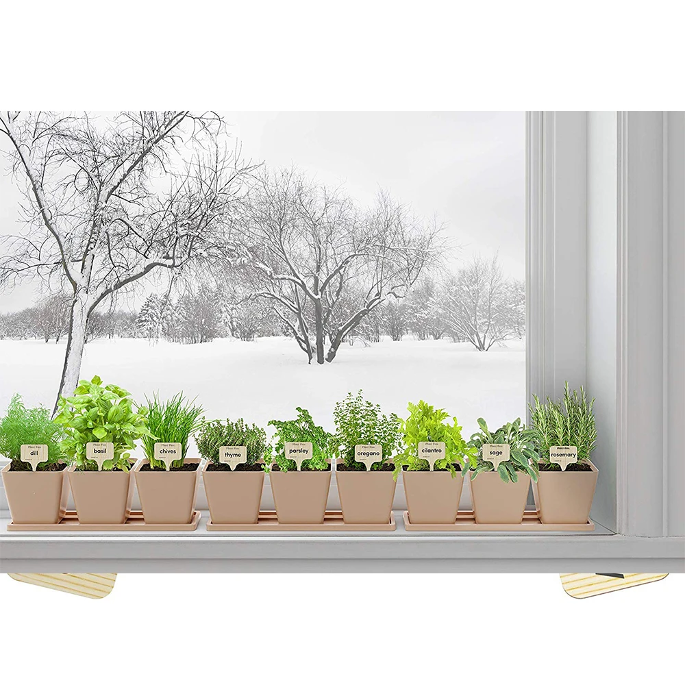 Wholesale non gmo herb plant  DIY Easily Grow 4 Indoor Herbs from Seeds (Basil, Cilantro, Chives & Parsley) kit