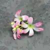 ดอกกล้วยไม้ - สีชมพูเข้ม
