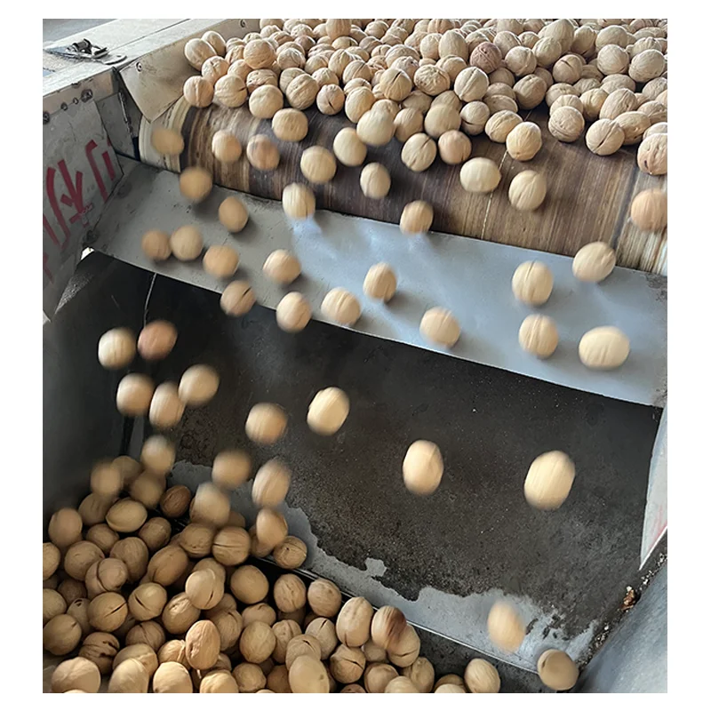 Shelled Walnuts Extra 5-7cm Light Kernels Premium Quality 20kg PP Bag Competitive Price Walnuts