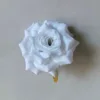 Numero 6