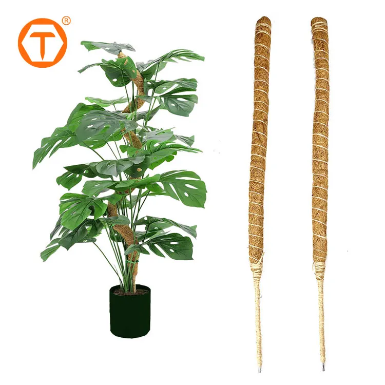 Garden Moosstange Coco Coir Fiber Flexible Climbing Stick Tomato Plant  Support Stake Bendable Moss Pole for Plants Monstera