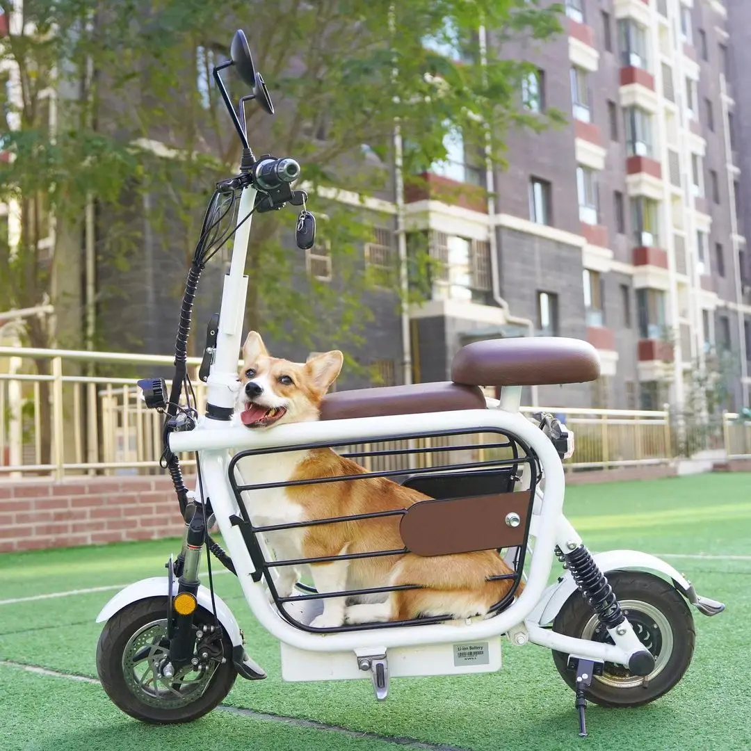 e-bike 電動アシスト自転車 バスケット付き 折りたたみ ペットバスケット付きの最も人気のある400ワットパワー電動