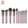 Brosse sans sac