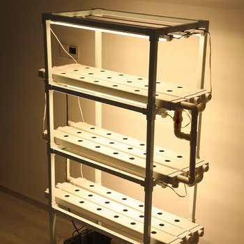 Nft Pvc Grow Rack With Full Spectrum Light,Water Pump . - Buy Nft ...