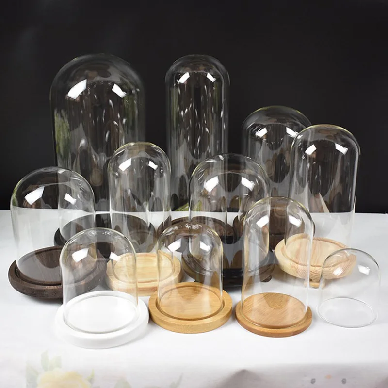 High Quality Plates Cork Bottle Mini Retail Display Glass Top Dome Lamp