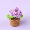 Purple-5 head forget-me-not potted plant-mini wool basin