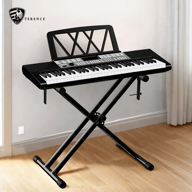 Terence SP611 Chinese Piano - 61 Key Educational Keyboard