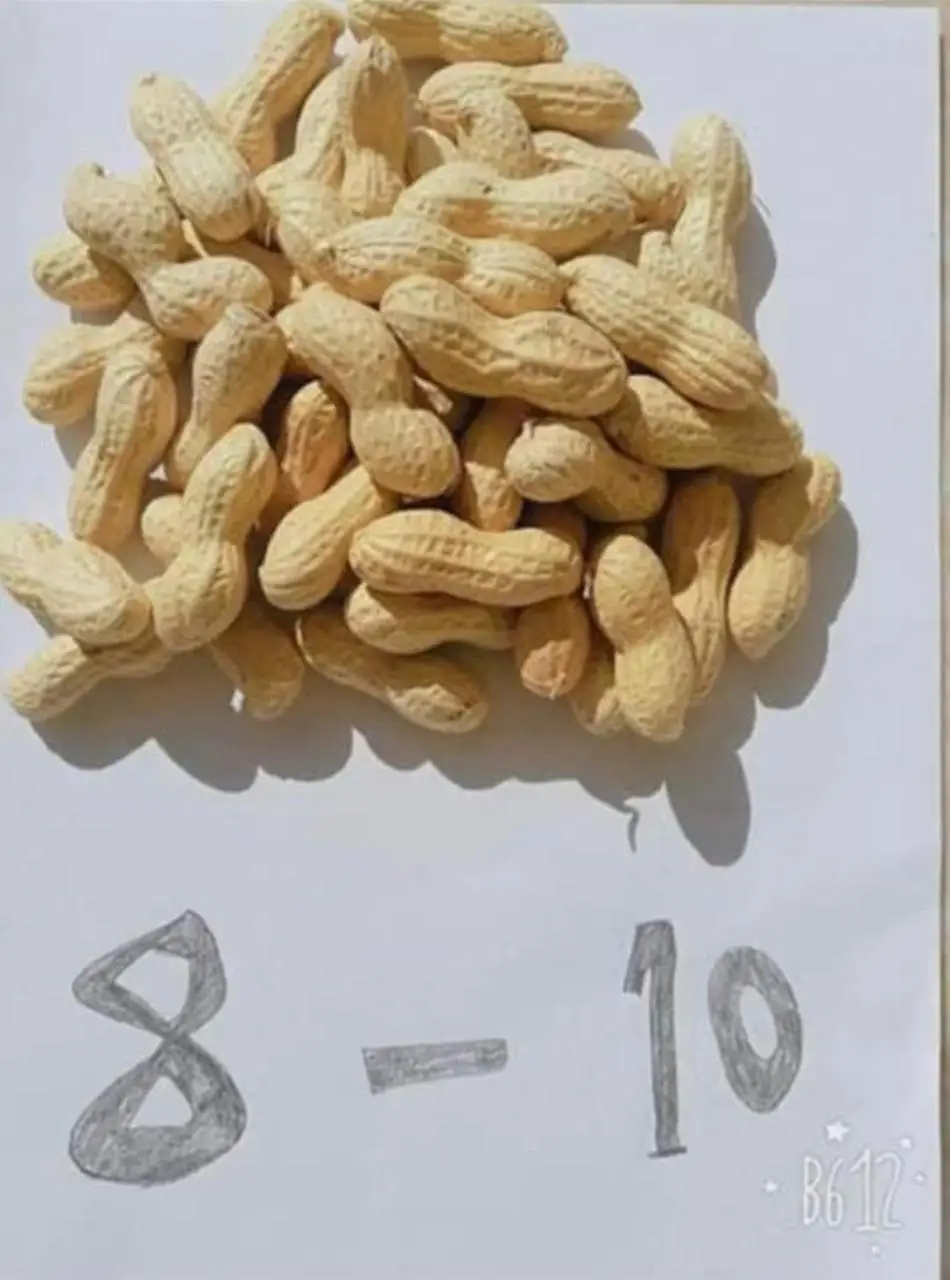 
Экспортеры качественного арахиса, арахис, оптовая продажа, арахис свежего стиля без скорлупы, арахисовые ядра 