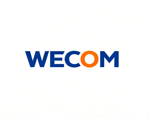 Company Overview - HONGKONG WECOM TECHNOLOGY LIMITED