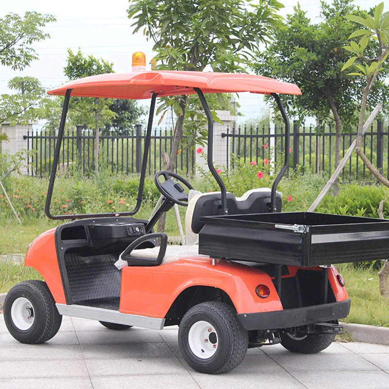 Special Transportation Electric Cargo Golf Carts Usa Electric Golf Cart ...