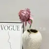 ไวน์แดงฟีนิกซ์ ทิสเซิล