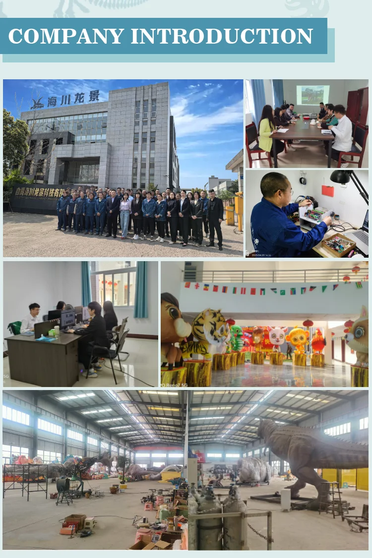 Company overview