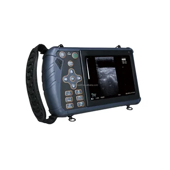 China Best Quality DMSU07 Portable Full Digital Veterinary B/W Ultrasound System with 15.6 inch LED Medical Display