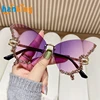 Gold/Purple Pink