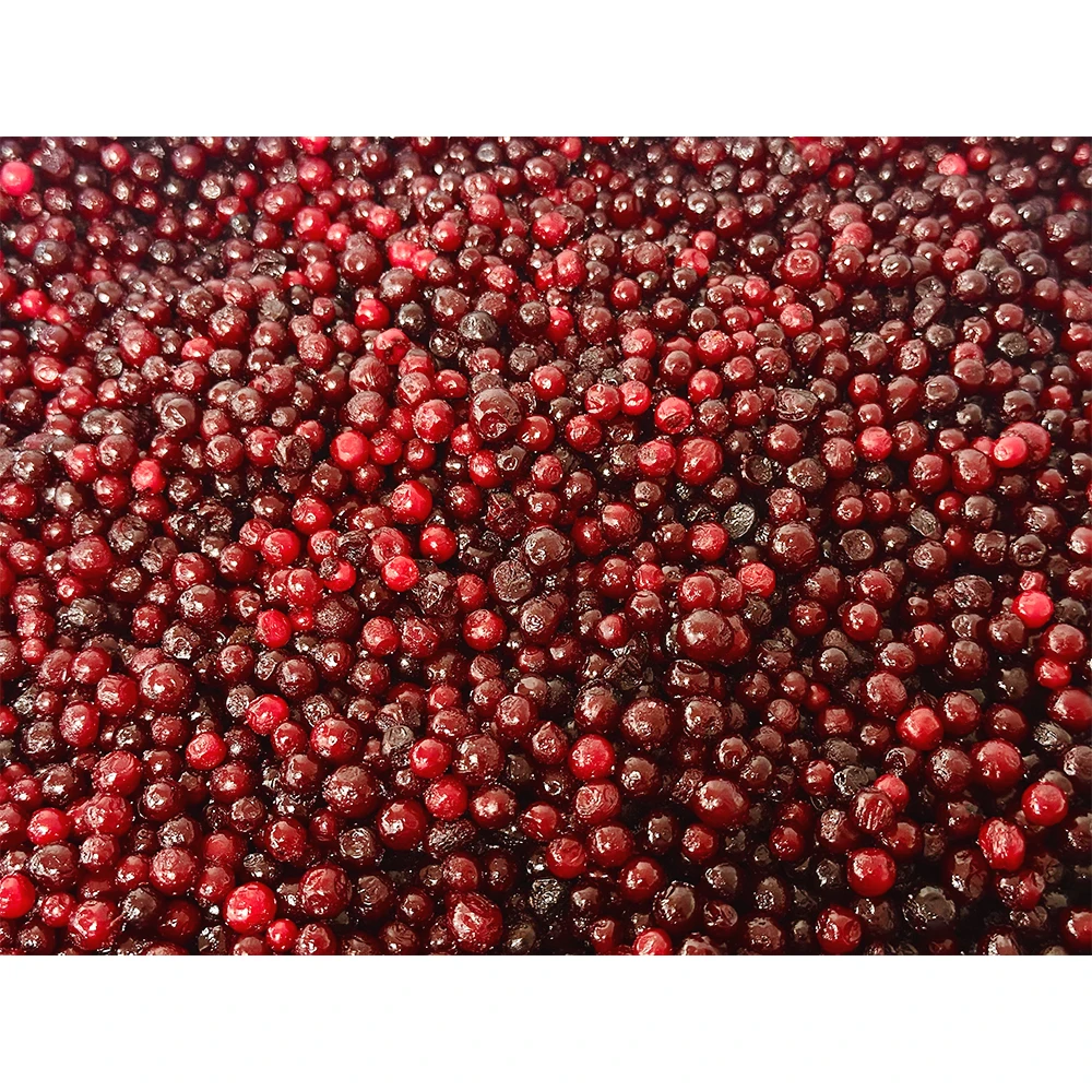 Populyar Satışa Malik Dondurulmuş Meyvələr Partiyası 10 kq IQF Lingonberry Şirin Tam Qırmızı Lingonberry Yeyintisi Toptan Satış Üçün Ən Yaxşı Qiymət