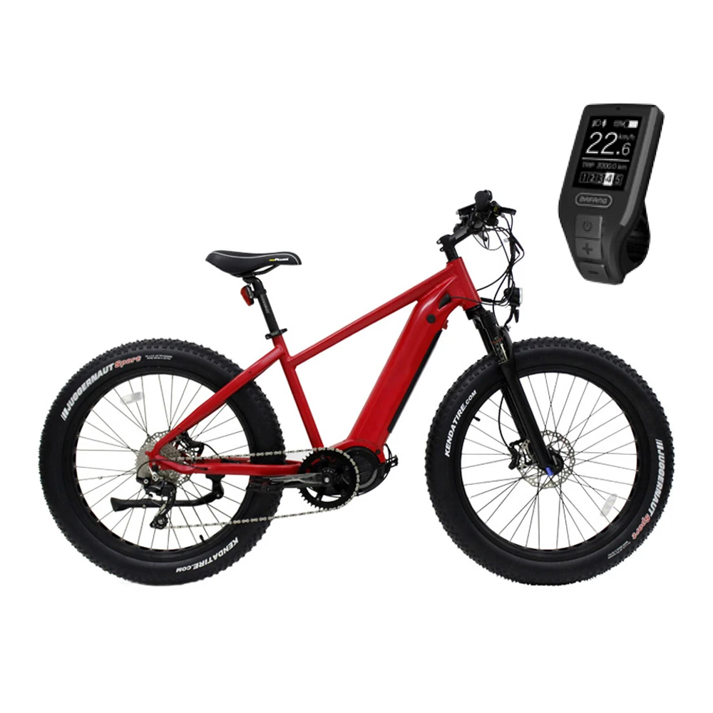 In Discesa 48v 250w 350w 500w 29 \