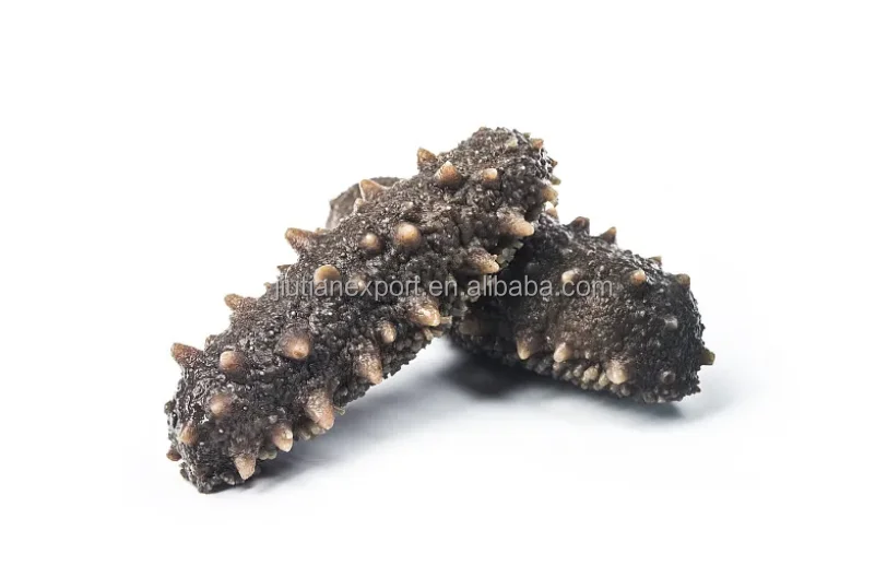 Dried Sea Cucumber With Beauty Benefitshigh Quality Lightly Dried Sea