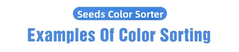 Wenyao 5 Chute Top Quality Color Sorter Fast Delivery Large Capacity Nut Raisin Color Sorting Machine for Fresh and Dried Fruit 2