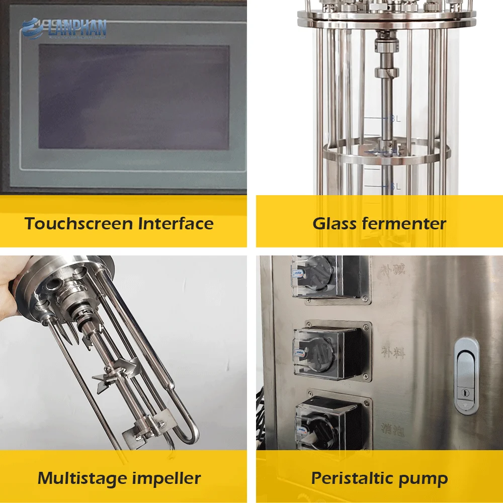 5L 10L 20L Laboratory Fermentor  E. Coli, Aerobic Bacteria, Anaerobic Bacteria Bioreactor