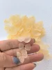 petalo di ortensia champagne