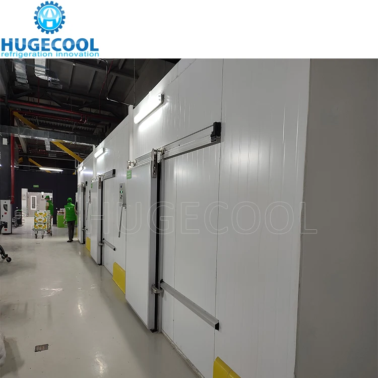 Hugecool Cold Storage Freezing Blast Freezer Walk in Cold Room for Potato Meat, Fish, Chicken, Seafood with Refrigeration Unit