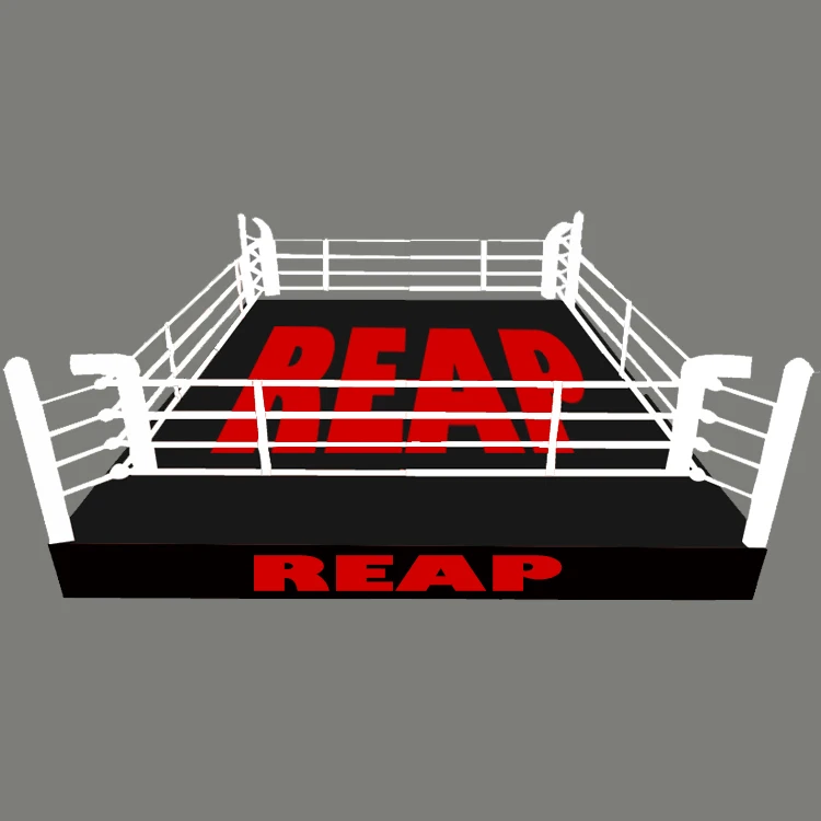 Professional Customized Size Logo Table Flooring Boxing Ring Price PVC Canvas Taekwondo Karate Wrestling Judo Boxing Ring