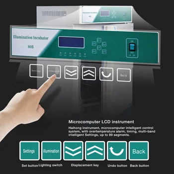 Incubateur De Laboratoire 50-150L - Contrôle Température Et Humidité 0-85°C