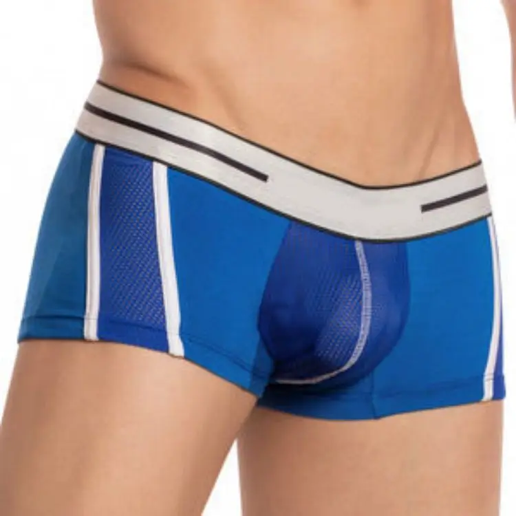 Men Underwear Sexy Men Briefs Mesh Breathable Comfortable Underpants at Rs  1050.00, Men Underwear