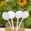 Plata espejo