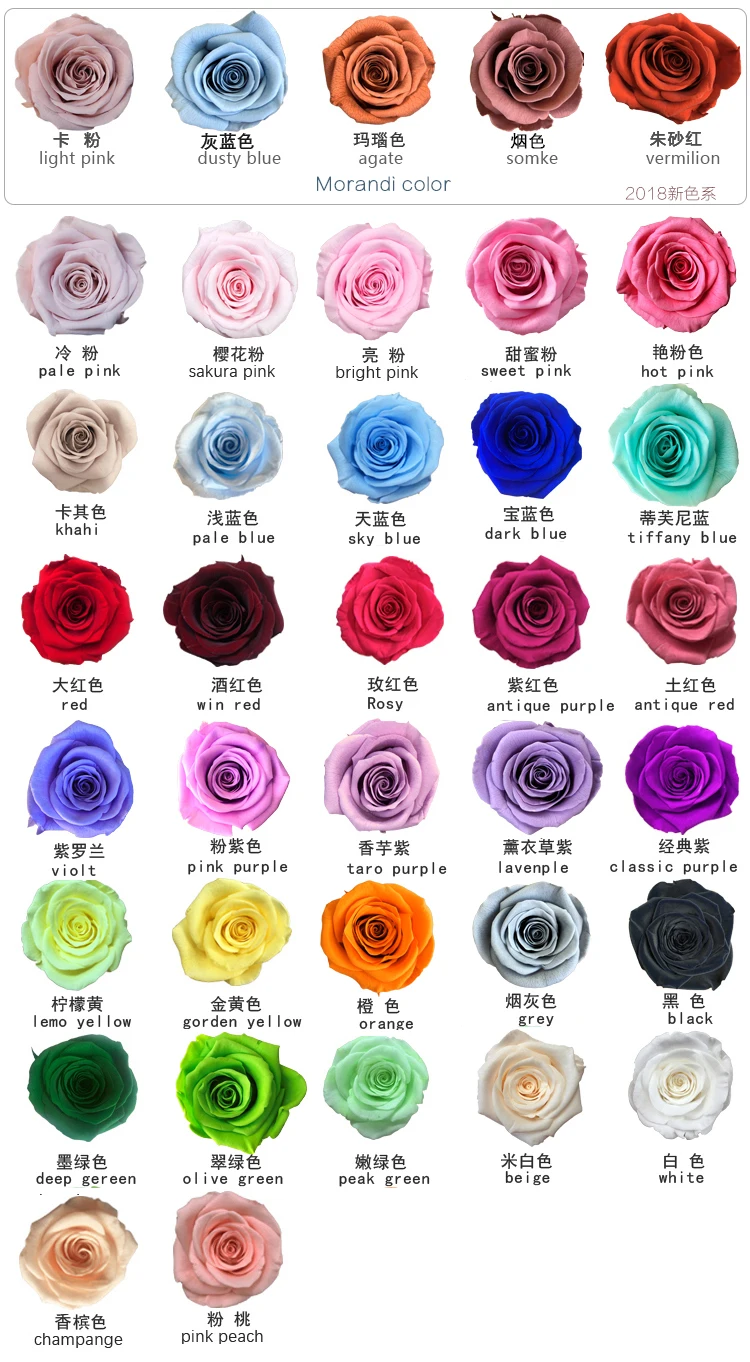 Beautiful A Grade Real Touch Preserved Rose Head 56 Cm Rose Bud 6