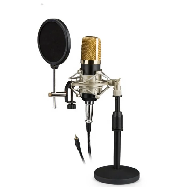 Mic High Studio Microphone Quality With Stand Kit - Buy Studio Mic,High  Quality Studio Microphone,Studio Microphone Quality Product on 