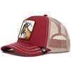 Goat wine red