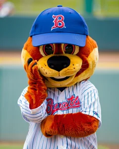 Shengye Commercial Sports Animal Plush Mascot Costume Adults Suit for Football Basketball Sports Cosplay Christmas Halloween