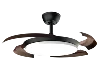 Negro+marrón