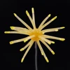 J006
