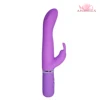 Viola
