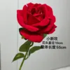 Xiaoxinmei