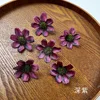 Morado oscuro
