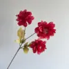Hibiscus flower-Red