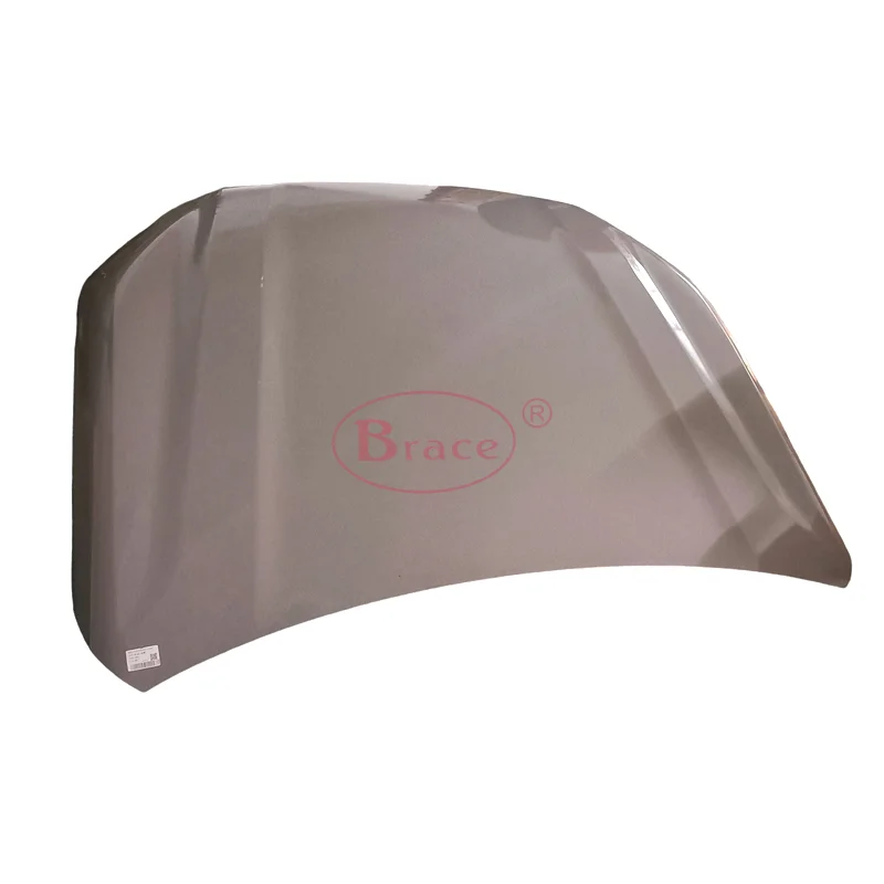 Front Hood for SAIC MAXUS T90 T60