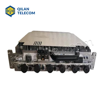 yalangoch qizlar olomon