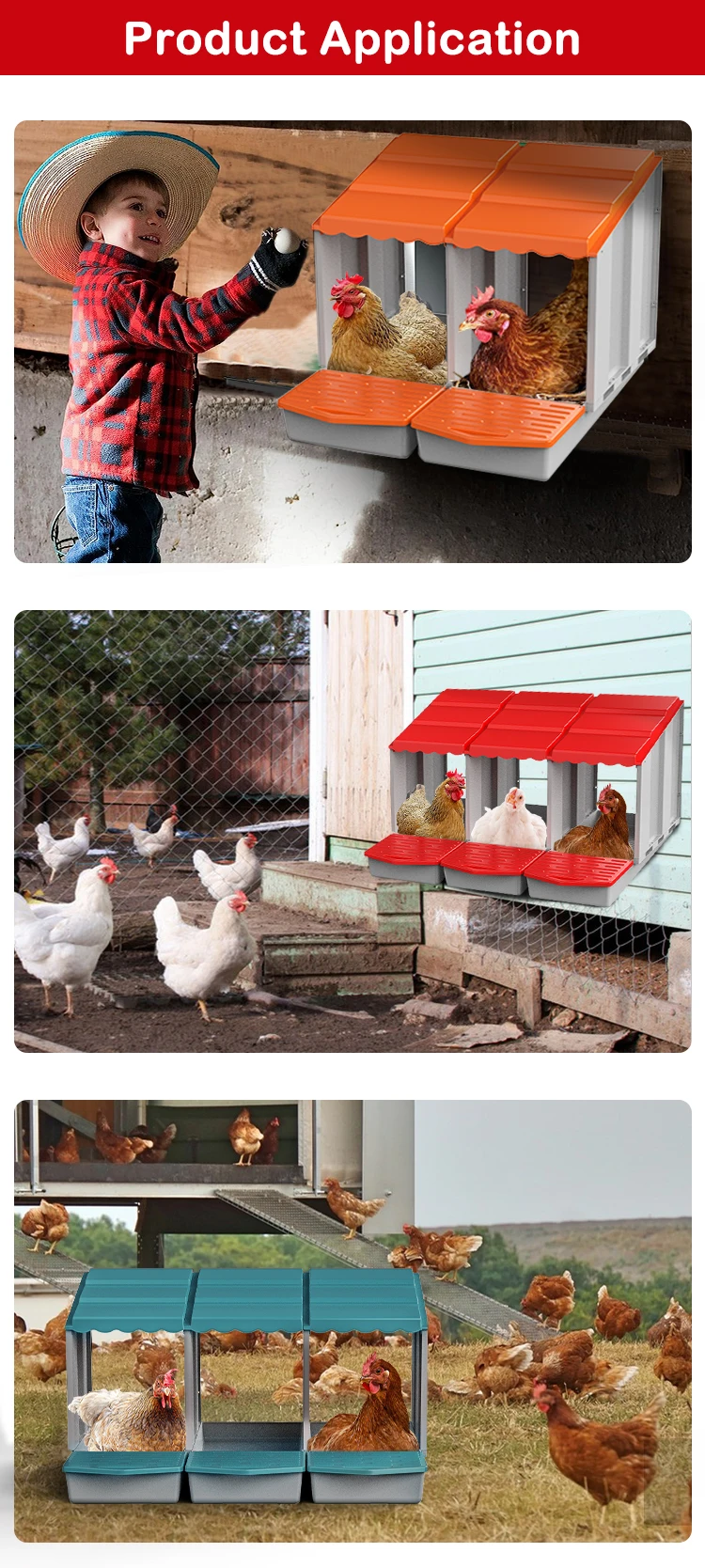 Plastic Laying Box Roll Out Automatic Chicken Egg Nest Boxes Chicken