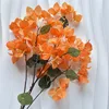 Arancione